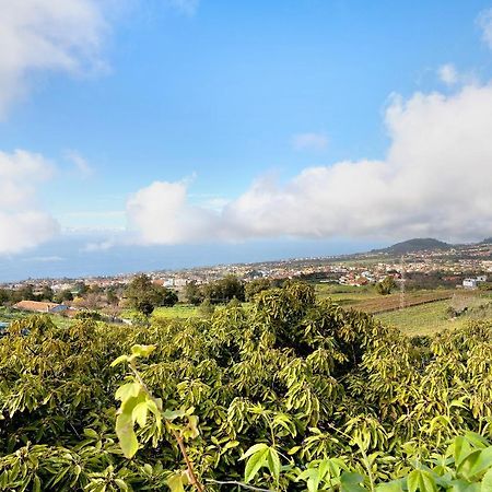 Casa Andrea Villa Tacoronte Kültér fotó