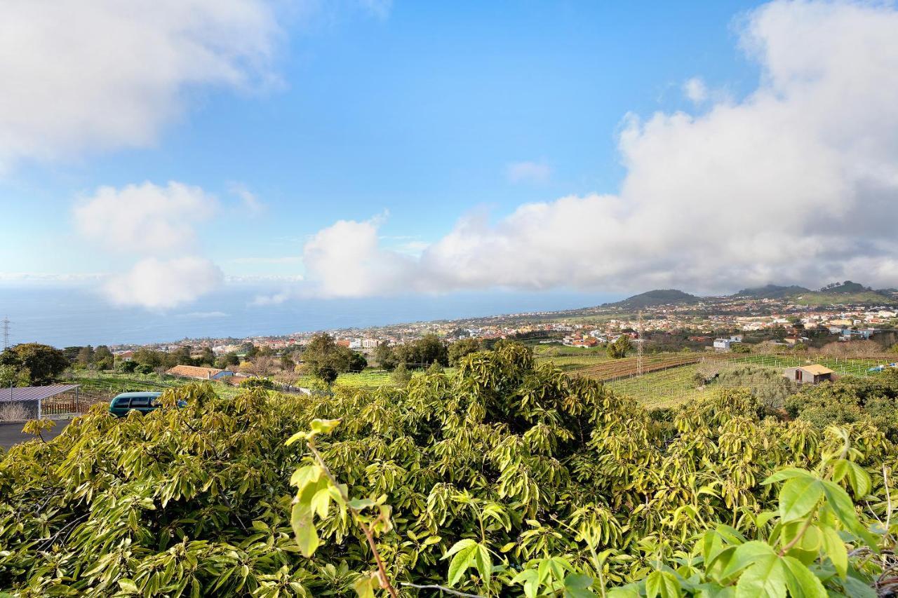 Casa Andrea Villa Tacoronte Kültér fotó